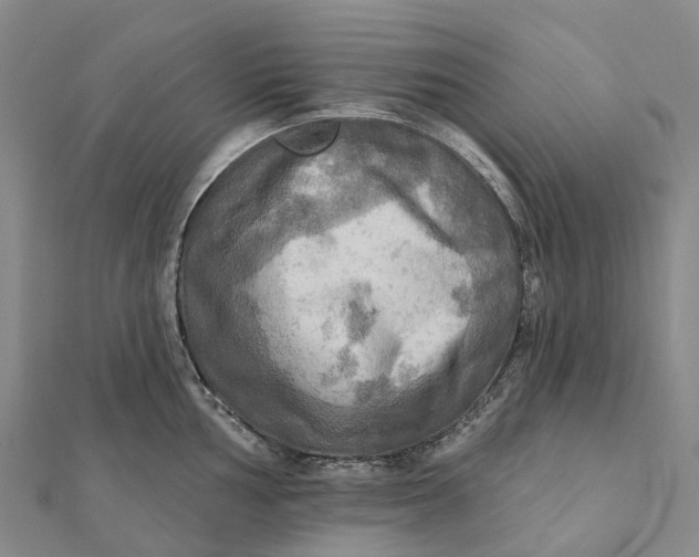 X0000112101002200908251145