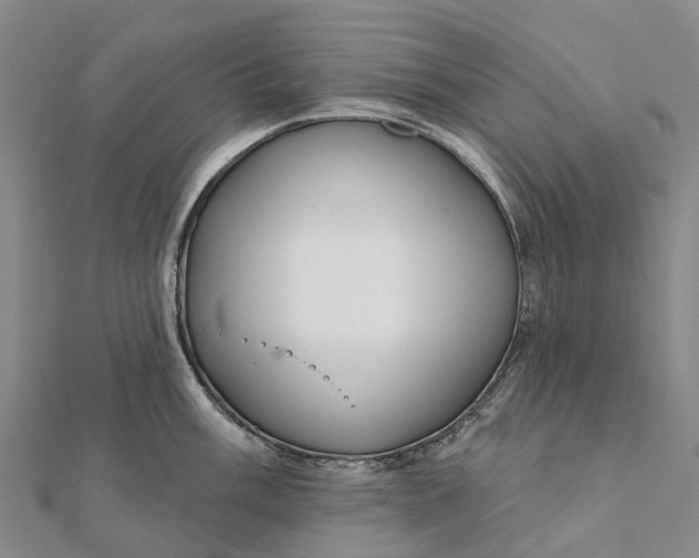 X0000112101003200908251145