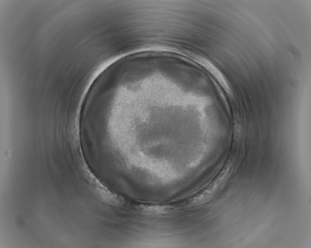 X0000112101004200908251145