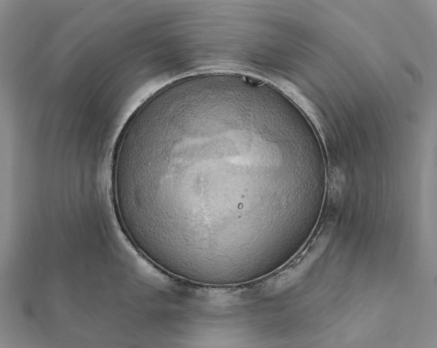 X0000112101005200908251145