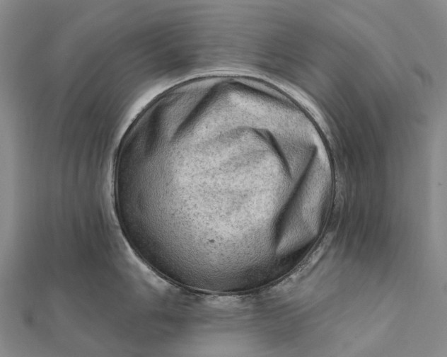 X0000112101006200908251145