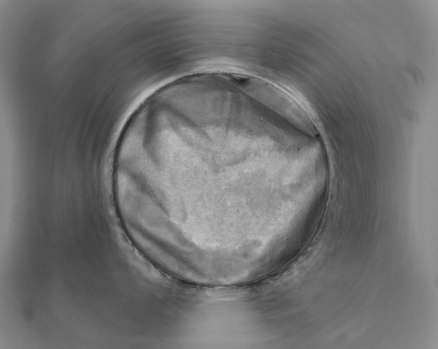 X0000112101008200908251145