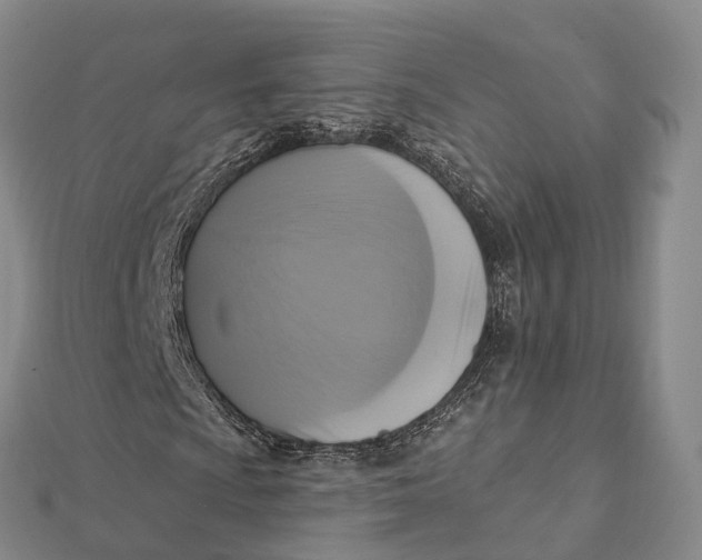 X0000112101009200908251145