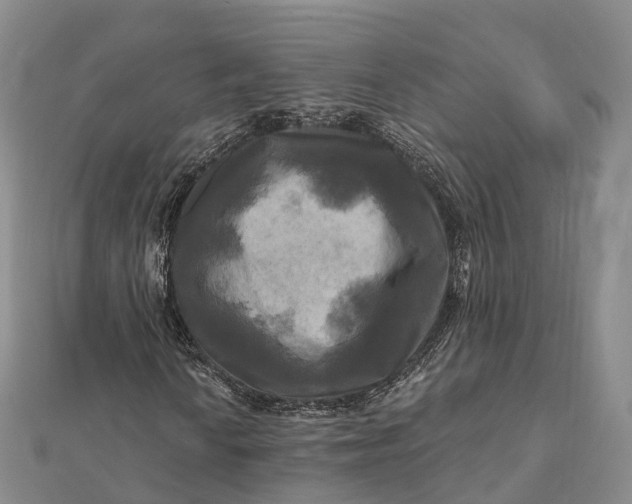 X0000112101010200908251145