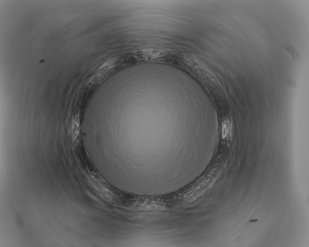 X0000112101011200908251145