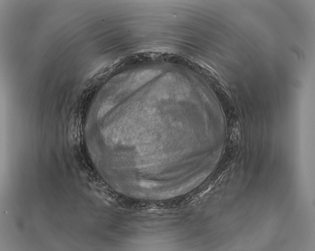 X0000112101014200908251145