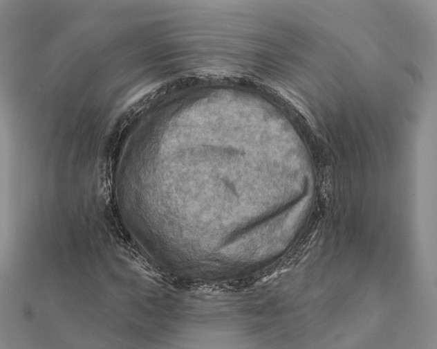 X0000112101015200908251145