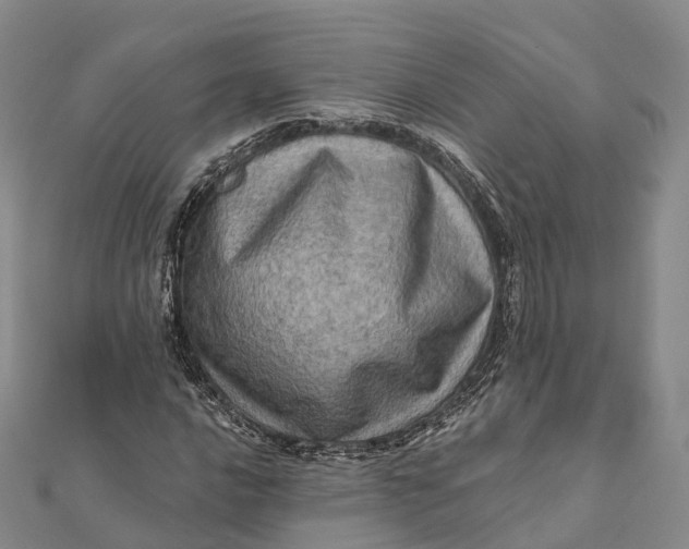 X0000112101016200908251145