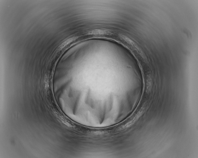 X0000112101017200908251145