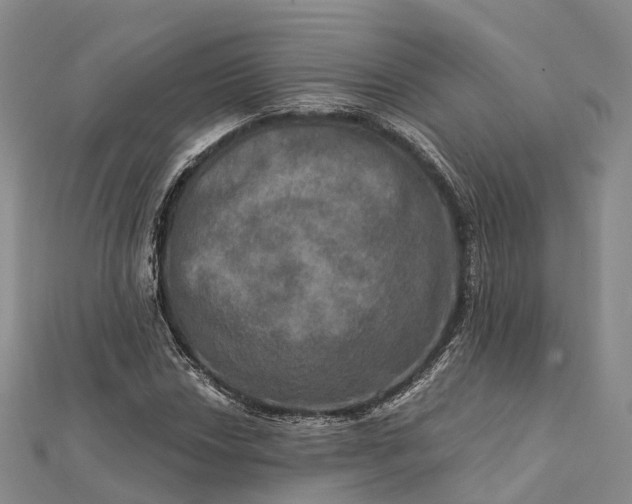 X0000112101018200908251145