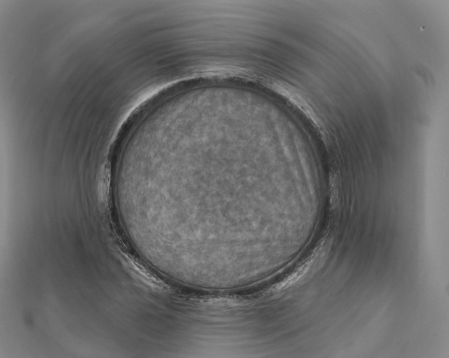 X0000112101021200908251145