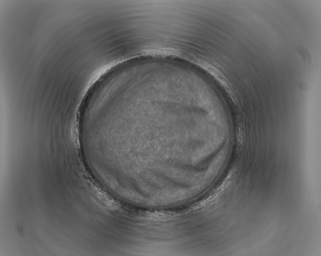 X0000112101022200908251145