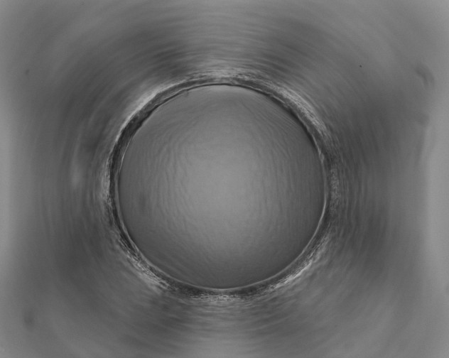 X0000112101023200908251145