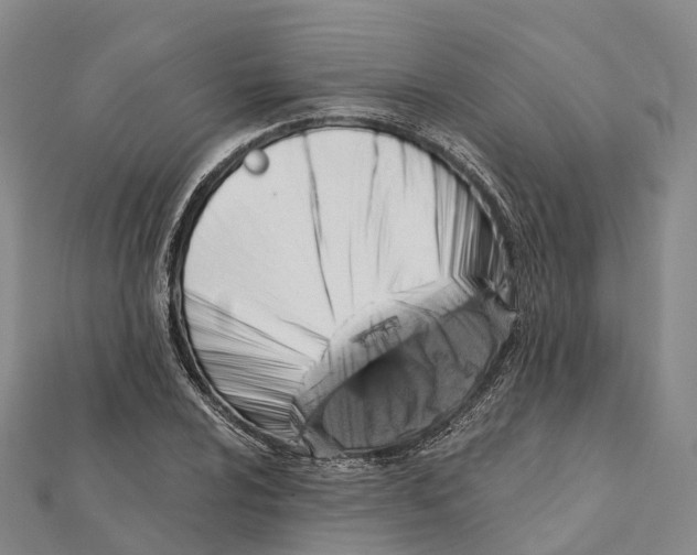 X0000112101024200908251145