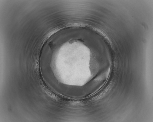 X0000112101025200908251145