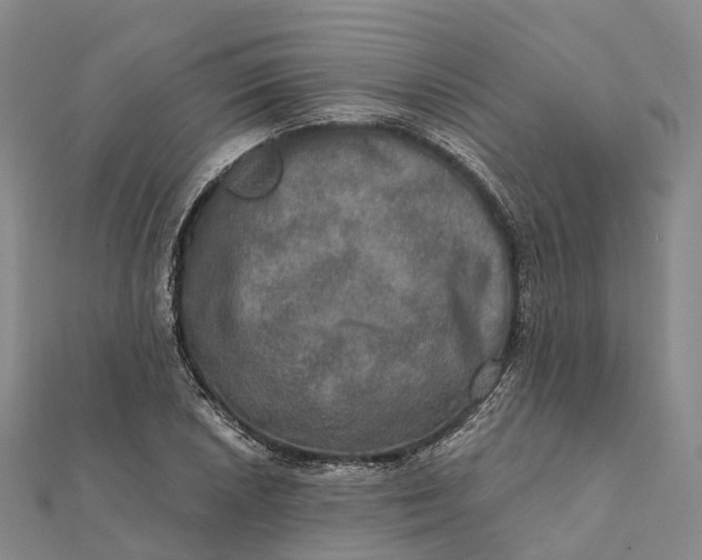 X0000112101026200908251145