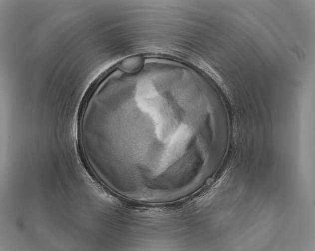 X0000112101028200908251145