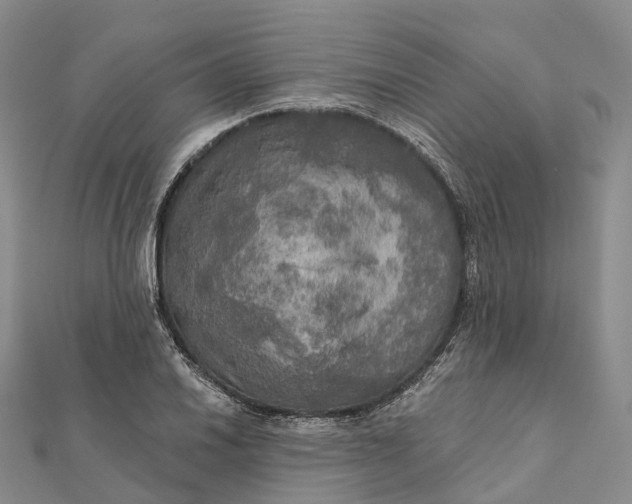 X0000112101030200908251145