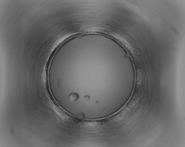 X0000112101031200908251145