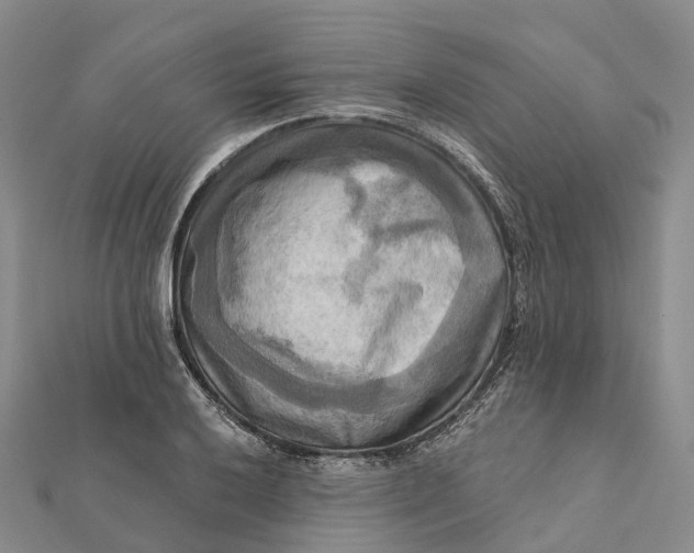 X0000112101032200908251145