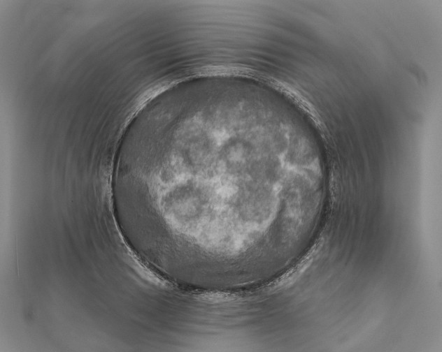 X0000112101033200908251145