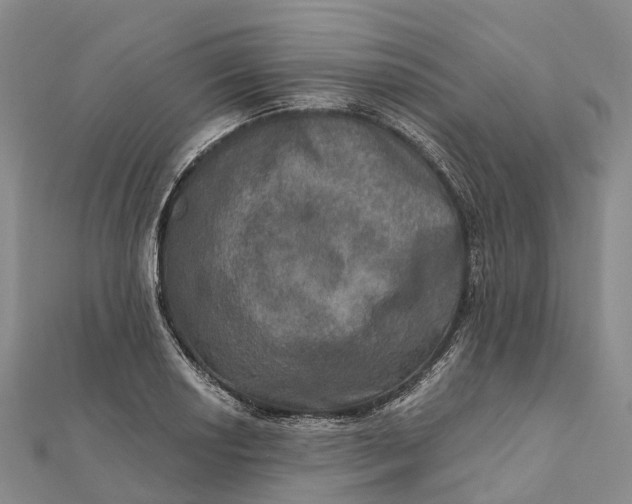 X0000112101034200908251145