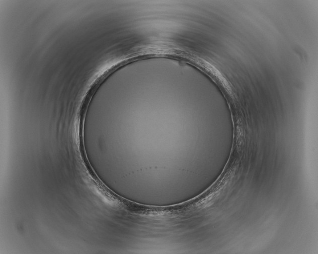 X0000112101035200908251145