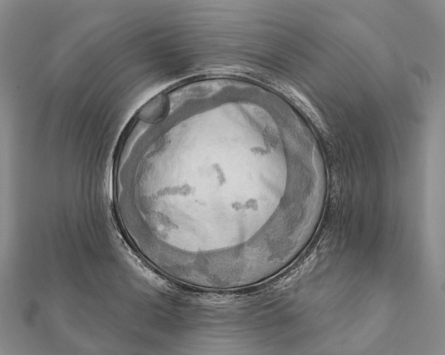 X0000112101036200908251145