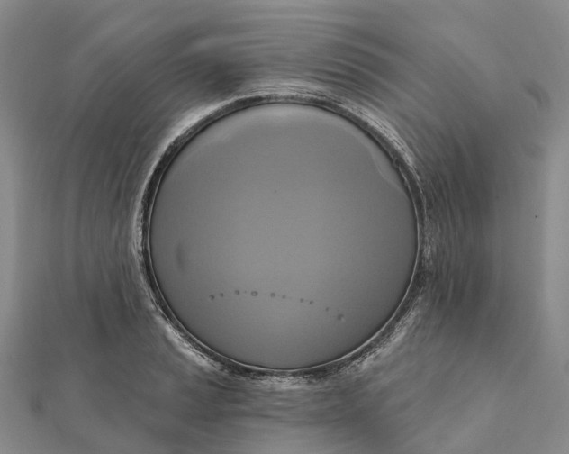 X0000112101037200908251145