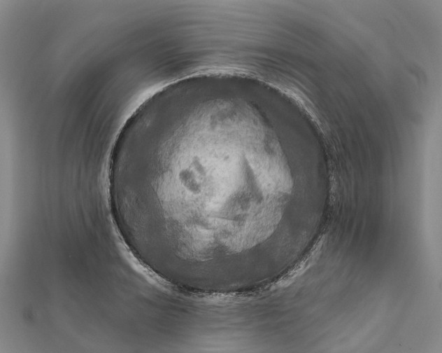 X0000112101038200908251145