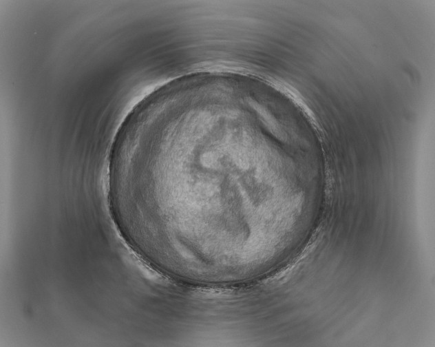 X0000112101040200908251145