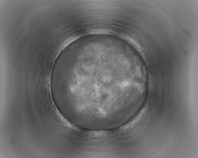 X0000112101041200908251145