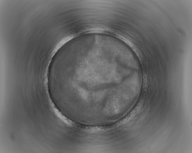 X0000112101042200908251145