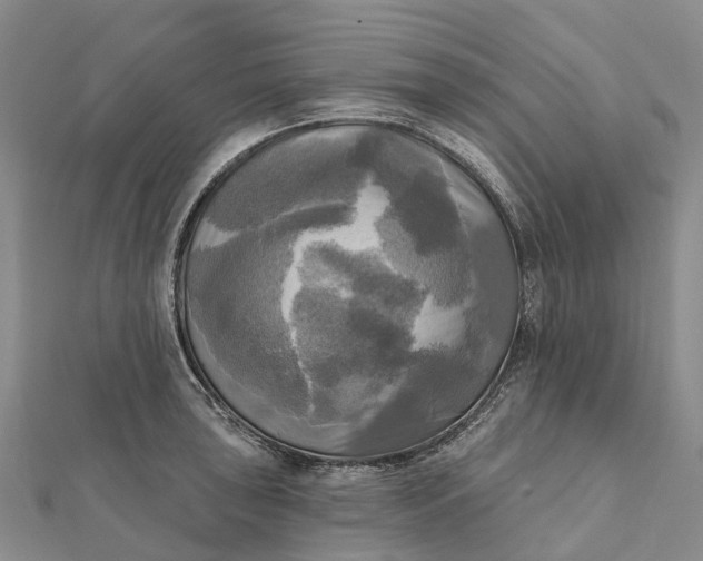 X0000112101043200908251145