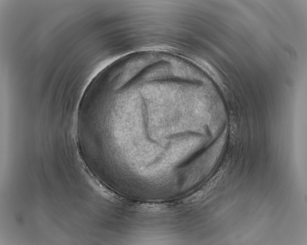 X0000112101044200908251145