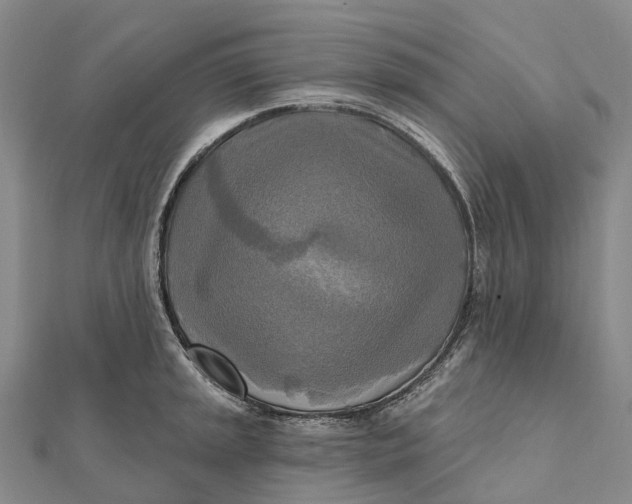 X0000112101045200908251145