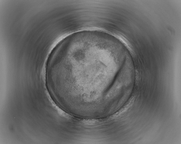 X0000112101046200908251145