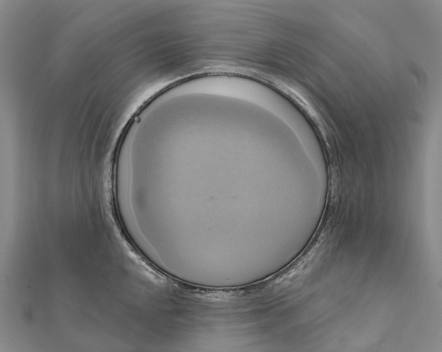 X0000112101048200908251145