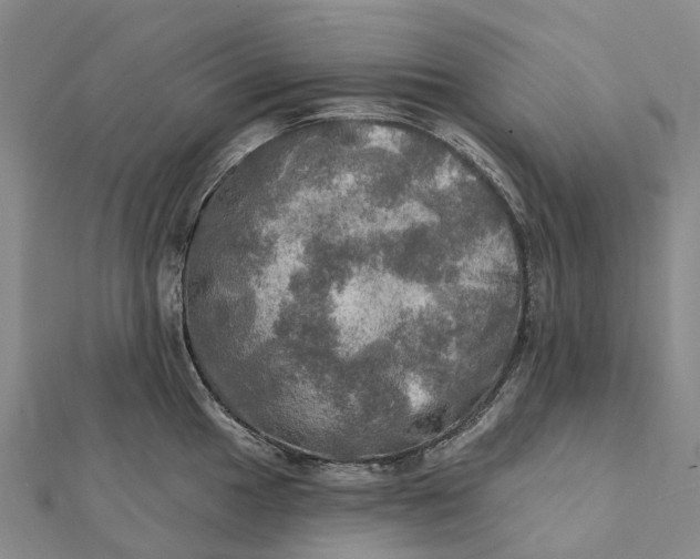 X0000112101049200908251145