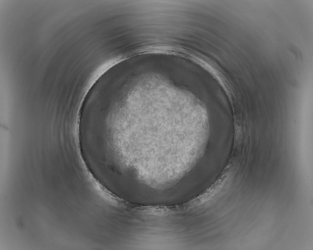 X0000112101050200908251145