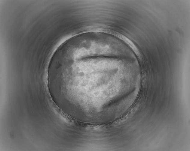 X0000112101051200908251145