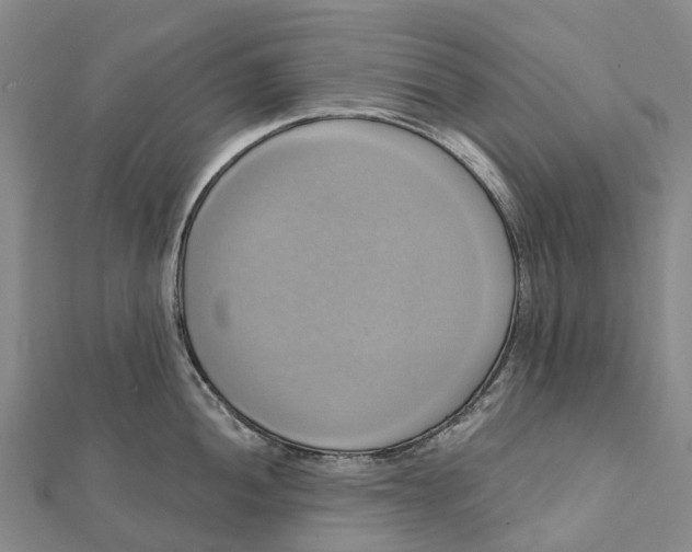 X0000112101052200908251145