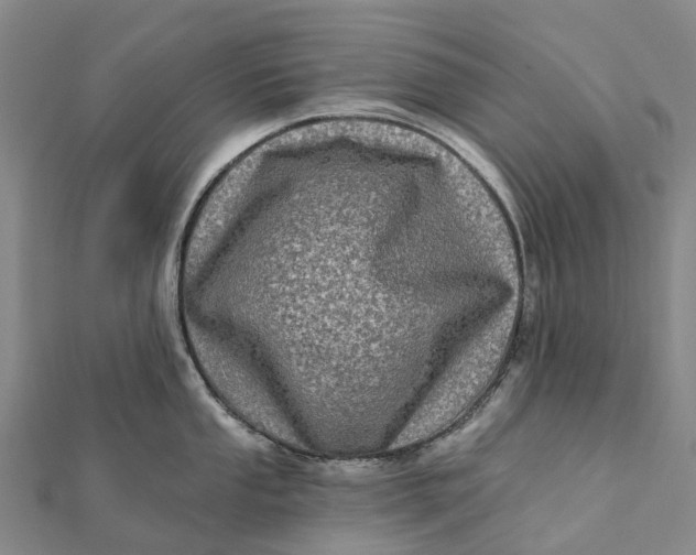 X0000112101053200908251145