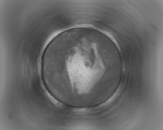 X0000112101054200908251145