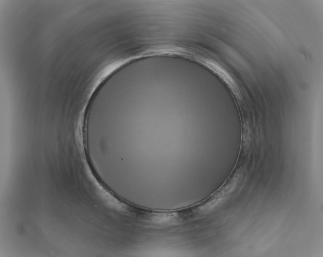 X0000112101055200908251145