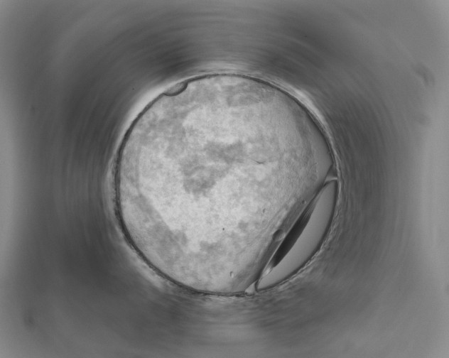 X0000112101056200908251145