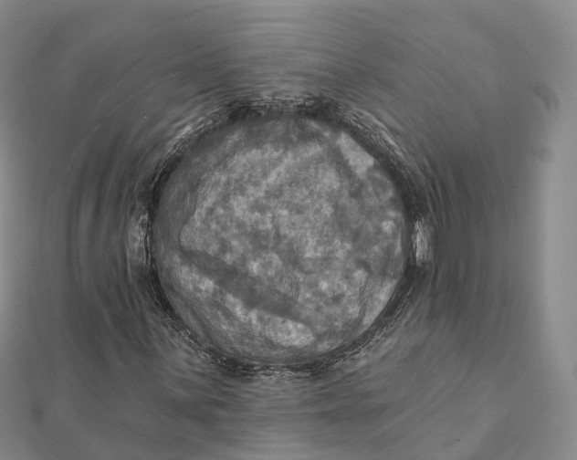 X0000112101059200908251145