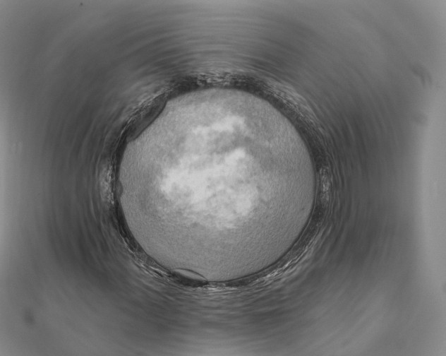 X0000112101060200908251145