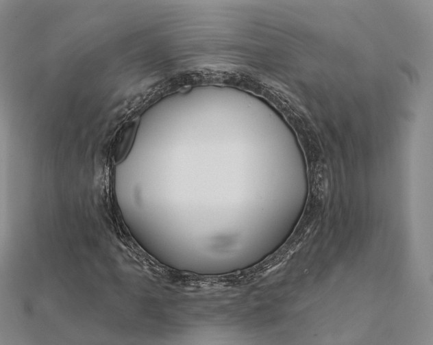 X0000112101061200908251145