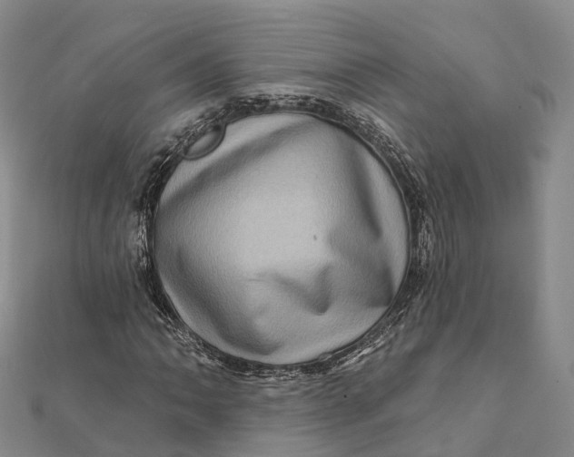 X0000112101062200908251145